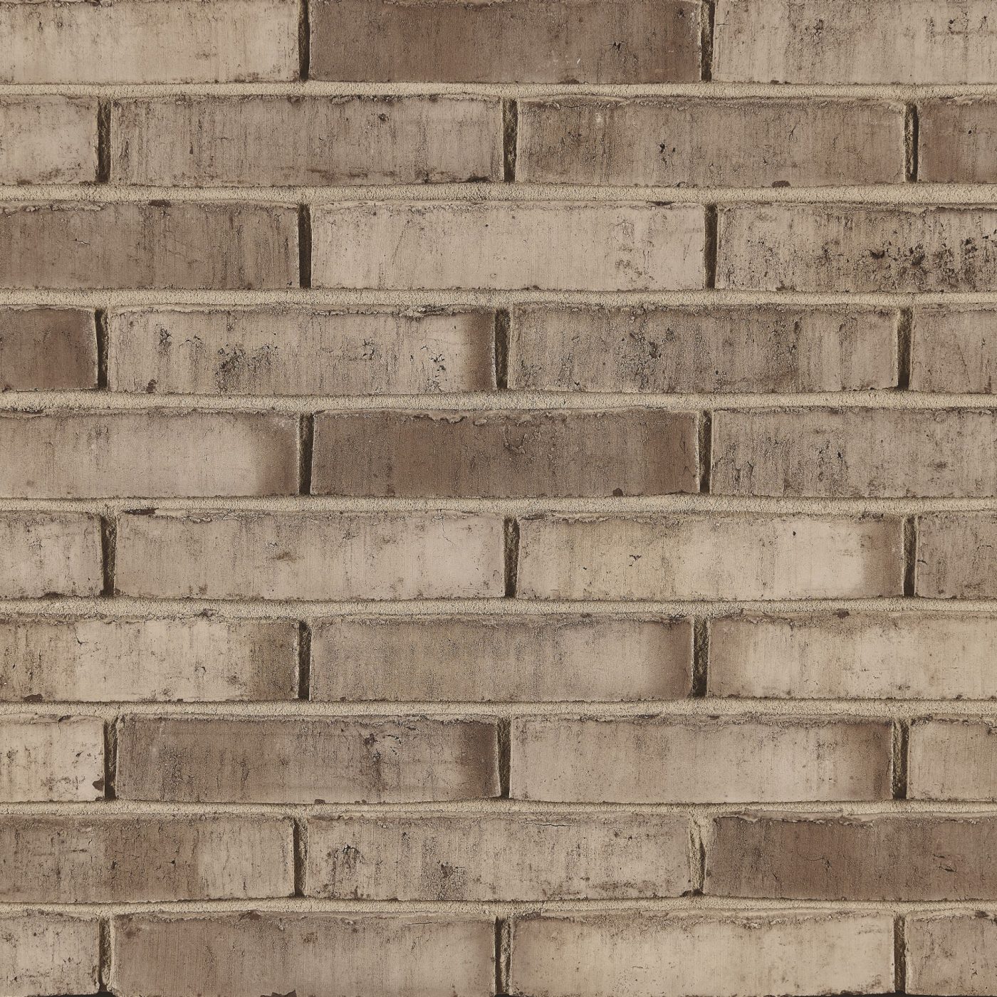 Brique de parement en terre cuite de couleur grisbrun signée Terca